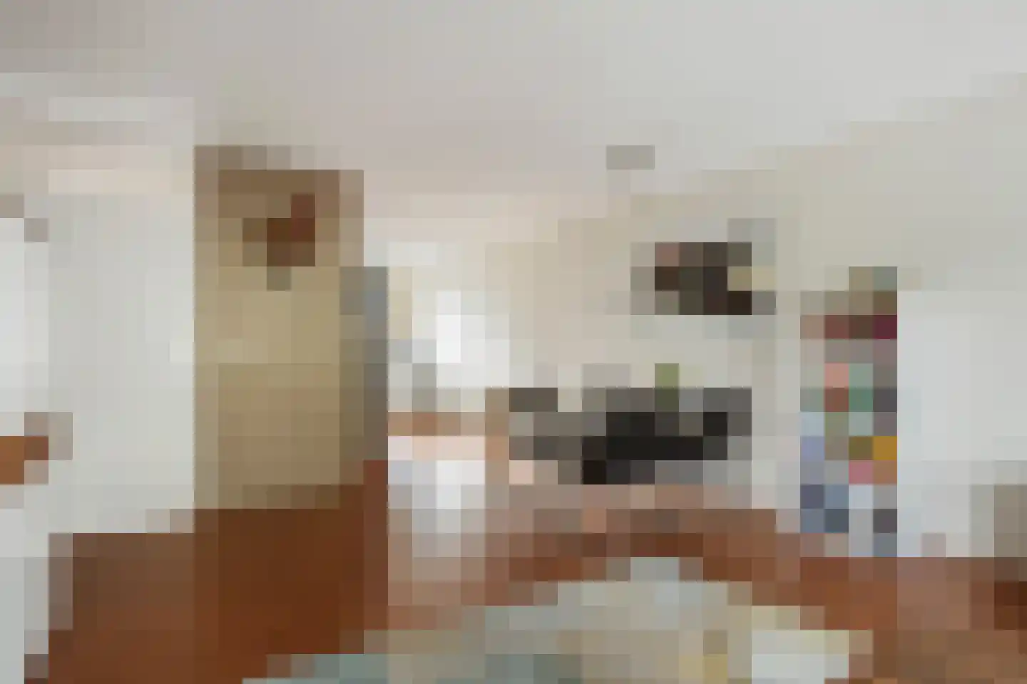 Quirinegang 167 Zoetermeer thumbnail 9