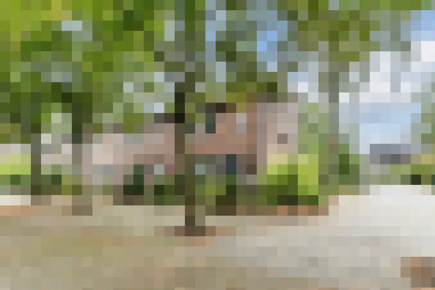 Quirinushof 25 Nuenen thumbnail 10