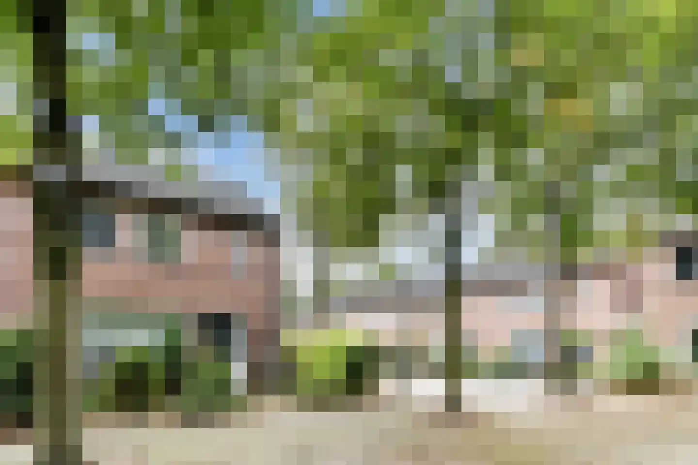 Quirinushof 25 Nuenen thumbnail 11