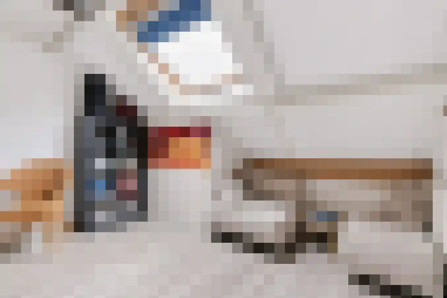 Quirinushof 25 Nuenen thumbnail 33