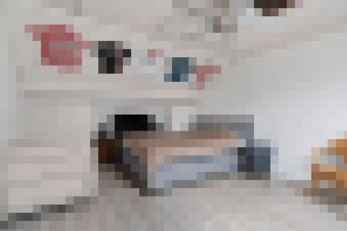 Quirinushof 25 Nuenen thumbnail 34