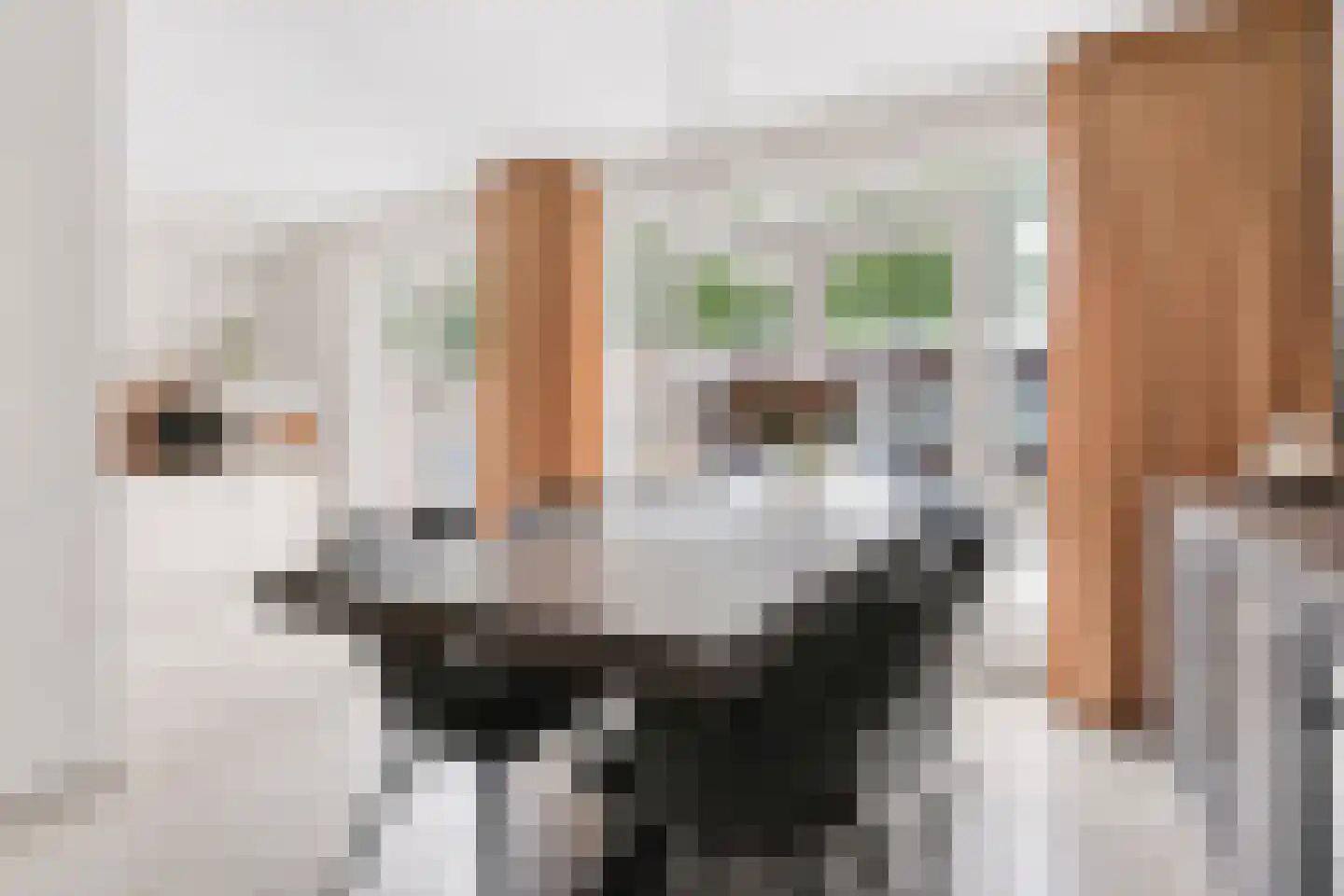 Quirinushof 25 Nuenen thumbnail 5