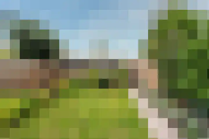 Quitodreef 7 Utrecht thumbnail 11