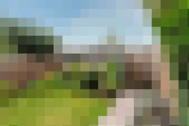 Quitodreef 7 Utrecht thumbnail 12