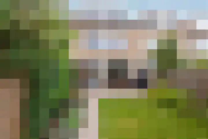 Quitodreef 7 Utrecht thumbnail 13