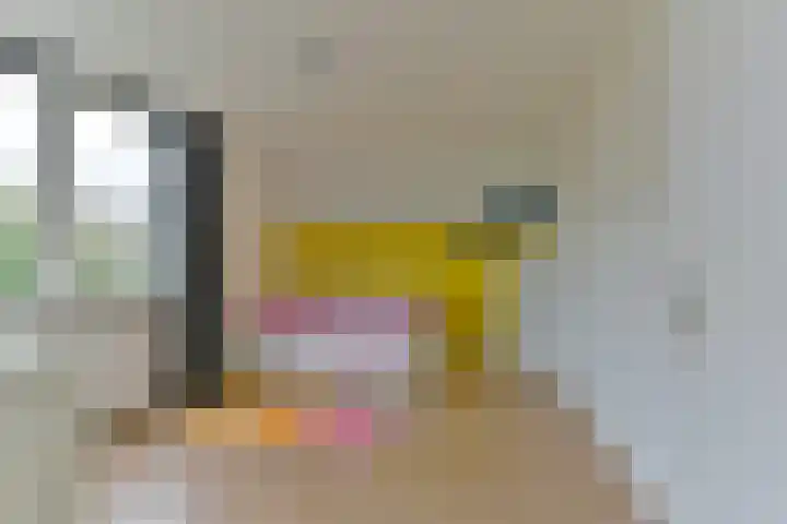 Quitodreef 7 Utrecht thumbnail 21