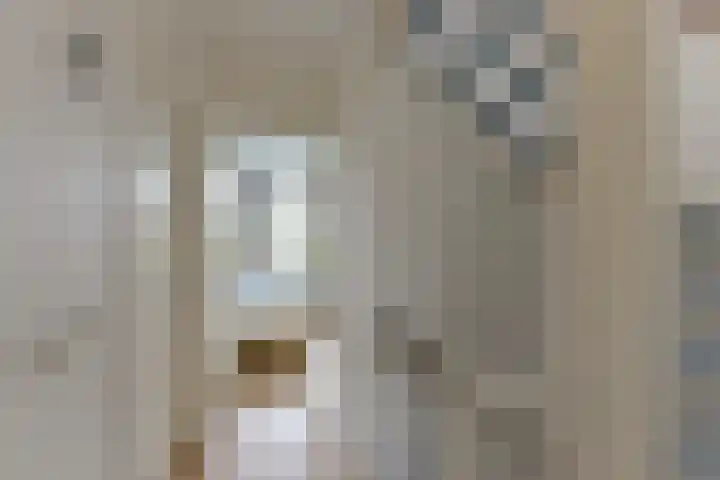 Quitodreef 7 Utrecht thumbnail 24