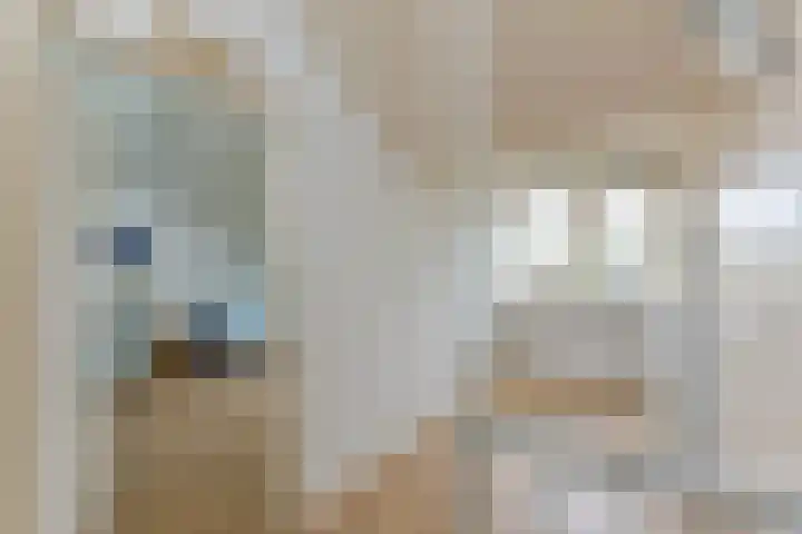 Quitodreef 7 Utrecht thumbnail 31