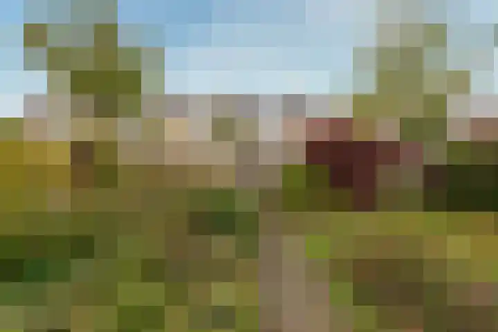Quitodreef 7 Utrecht thumbnail 38
