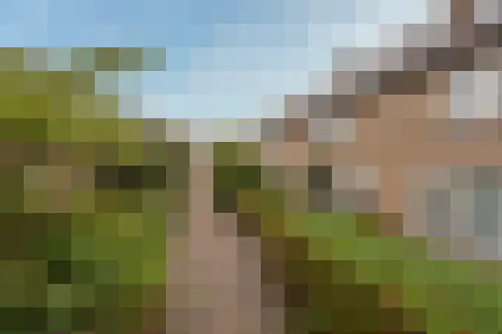 Quitodreef 7 Utrecht thumbnail 39