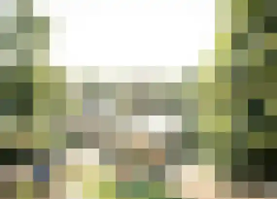 Quitodreef 7 Utrecht thumbnail 42