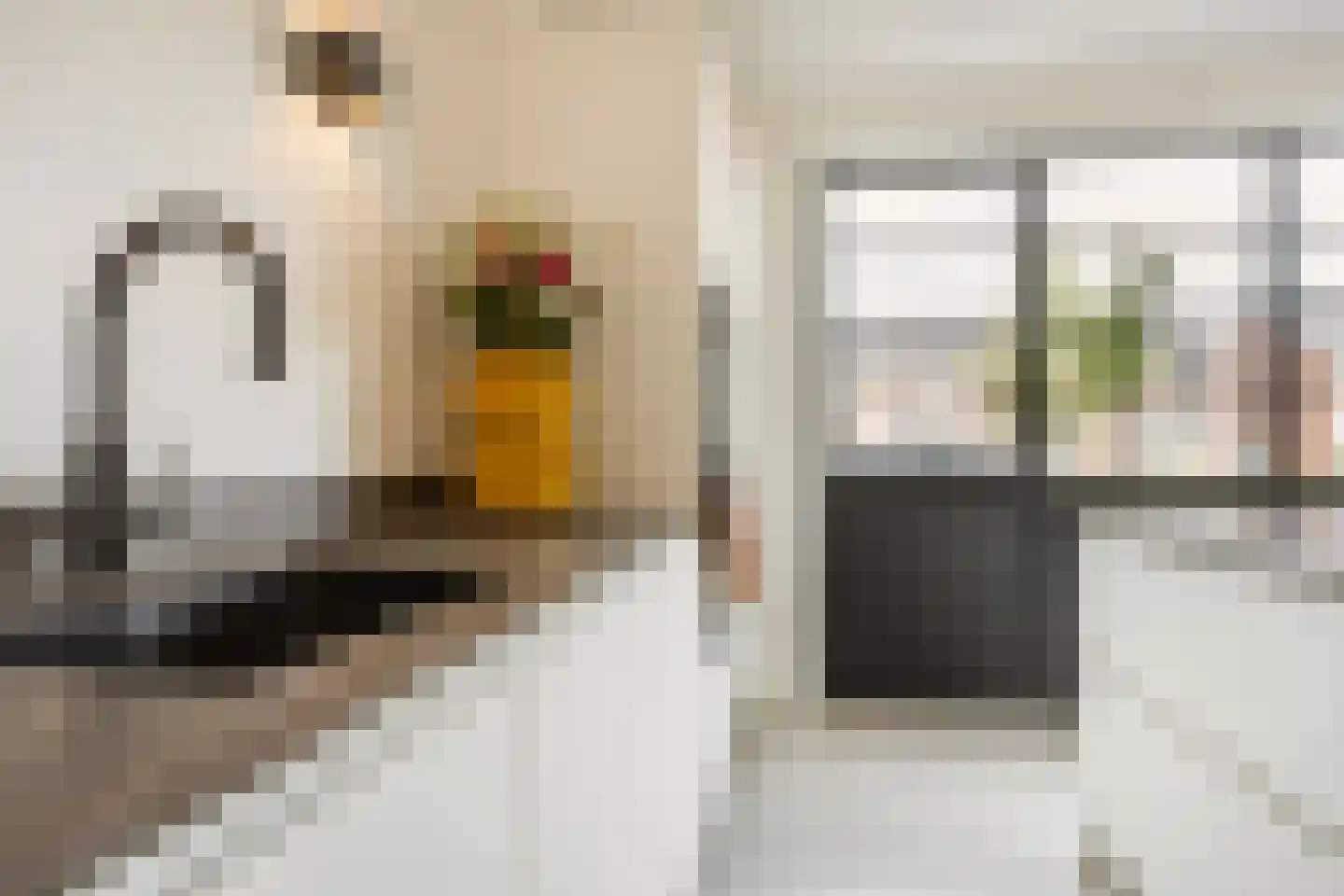 R.A. de Monchystraat 44 Hengelo thumbnail 21
