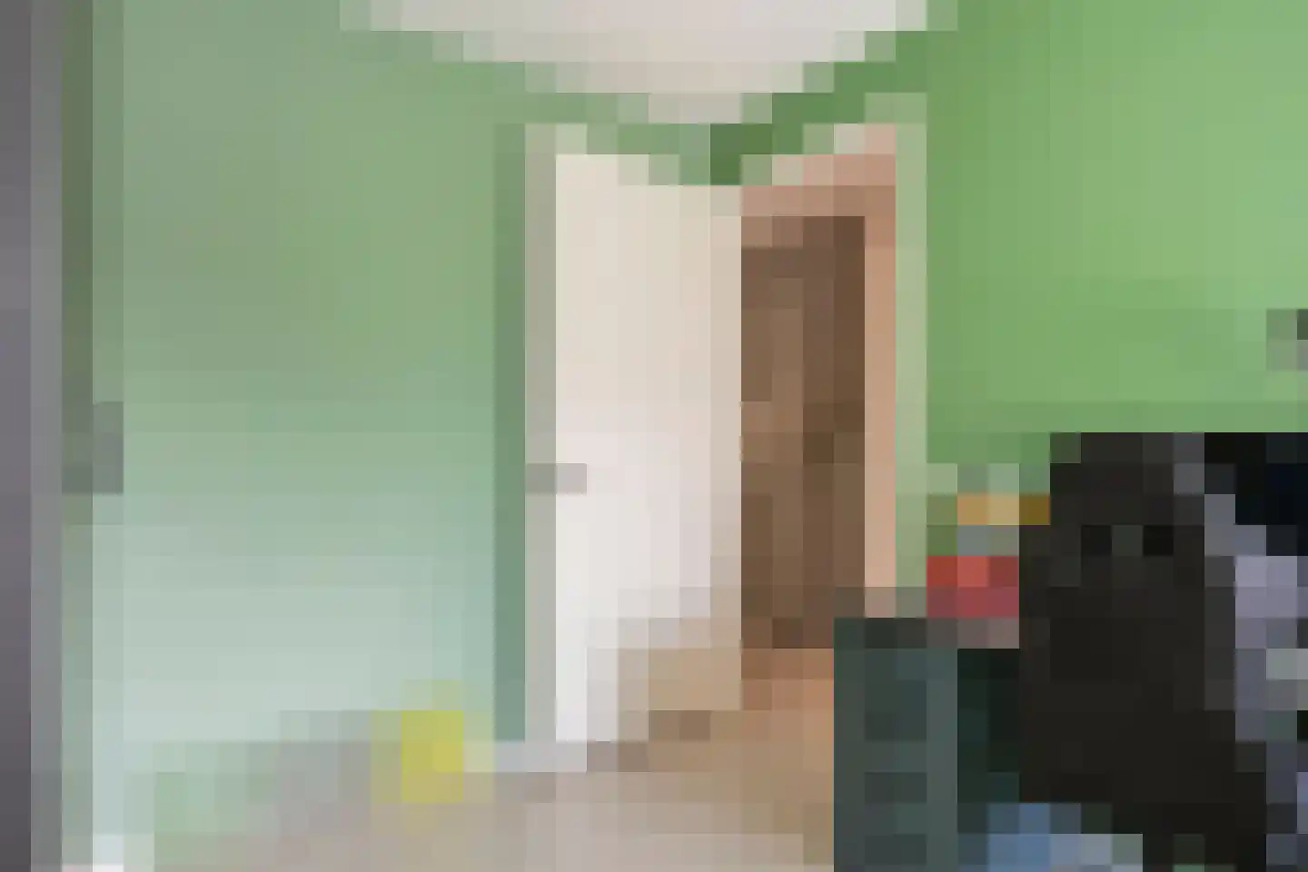 R.A. de Monchystraat 44 Hengelo thumbnail 31