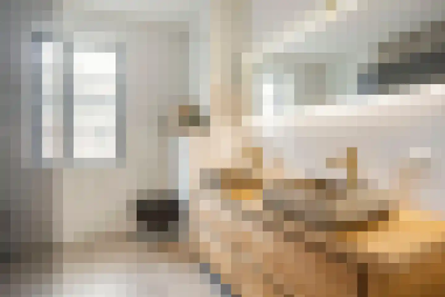 R.A. de Monchystraat 44 Hengelo thumbnail 32