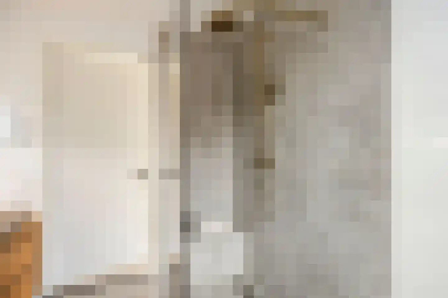 R.A. de Monchystraat 44 Hengelo thumbnail 33
