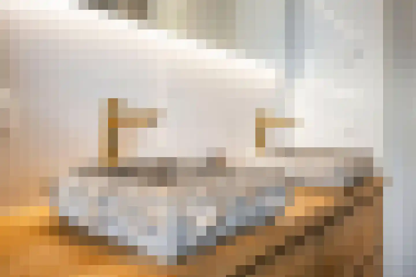 R.A. de Monchystraat 44 Hengelo thumbnail 34