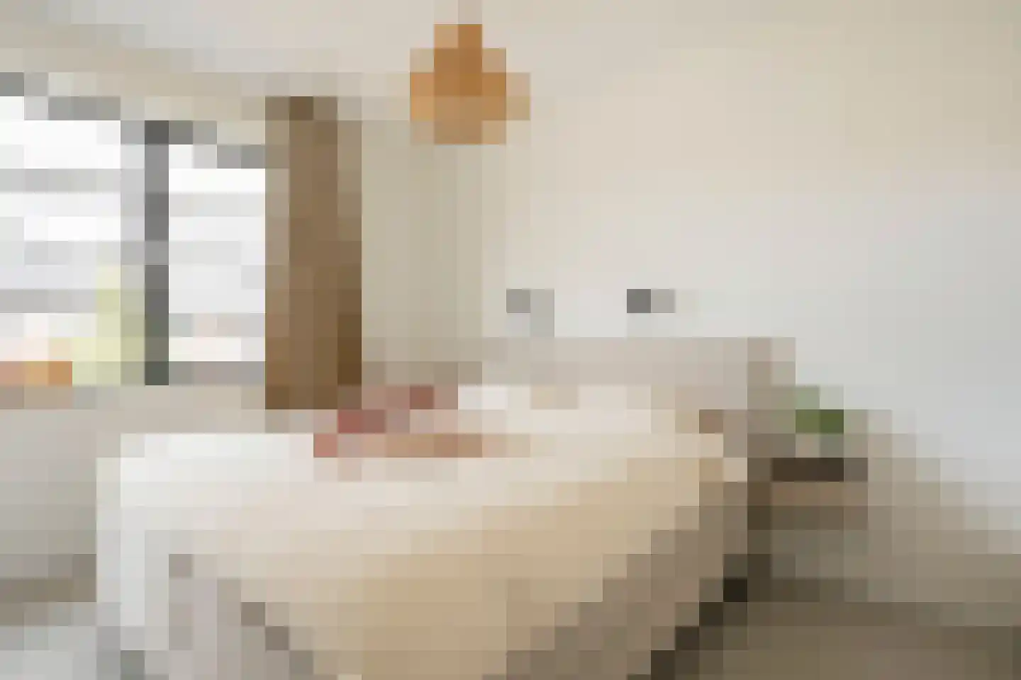 R.A. de Monchystraat 44 Hengelo thumbnail 35