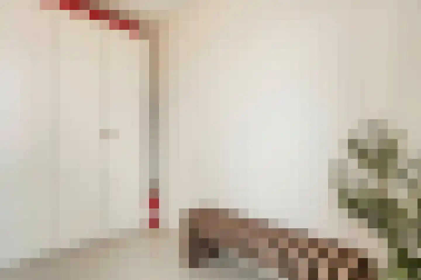 R.A. de Monchystraat 44 Hengelo thumbnail 37