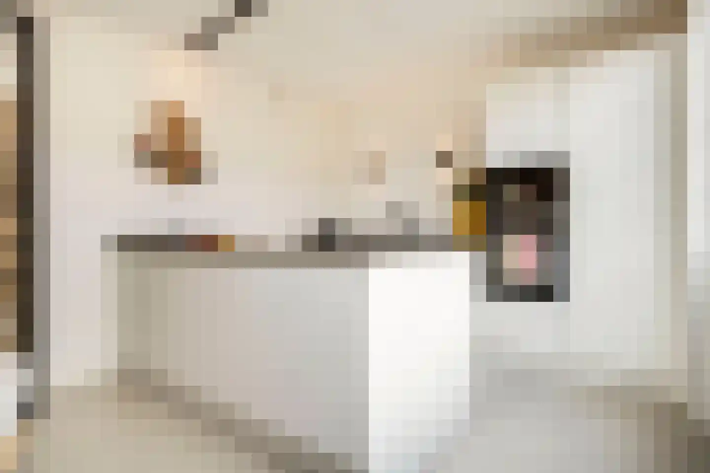 R.A. de Monchystraat 44 Hengelo thumbnail 4