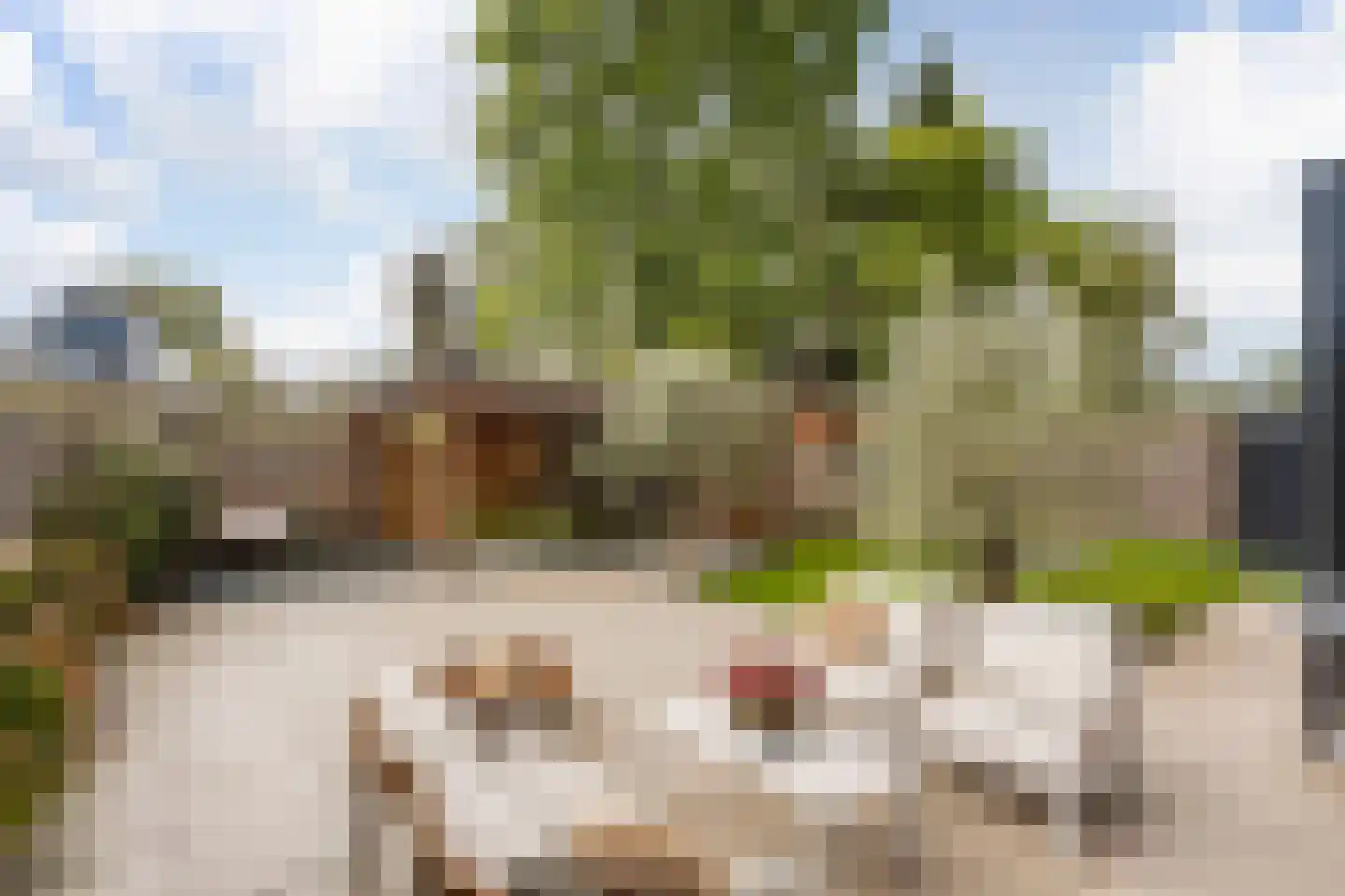 R.A. de Monchystraat 44 Hengelo thumbnail 44