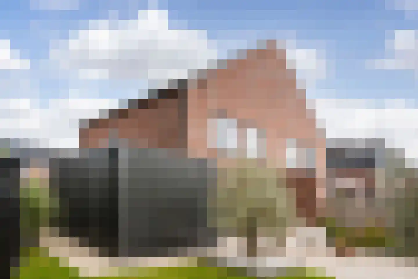 R.A. de Monchystraat 44 Hengelo thumbnail 48