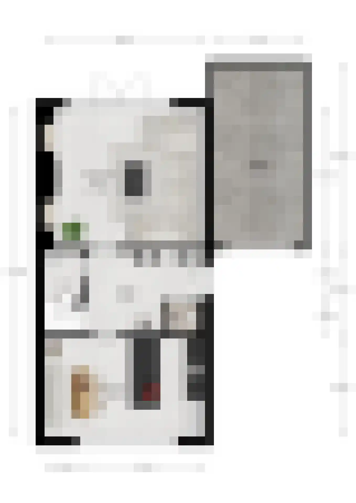 R.A. de Monchystraat 44 Hengelo thumbnail 51