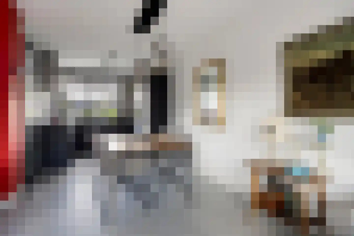 R.A. de Monchystraat 56 Hengelo thumbnail 13