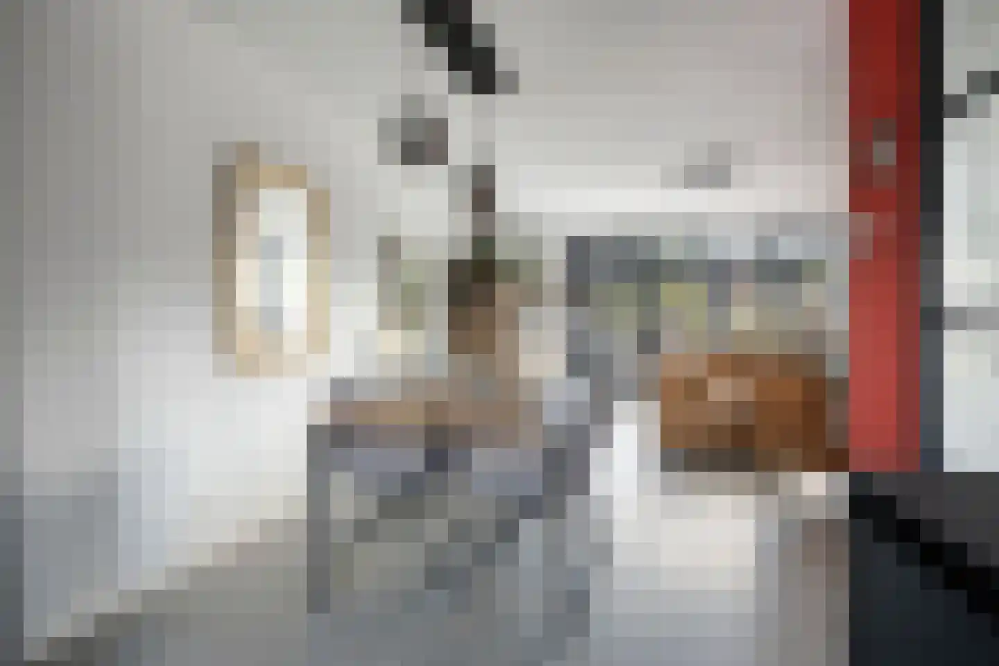 R.A. de Monchystraat 56 Hengelo thumbnail 15