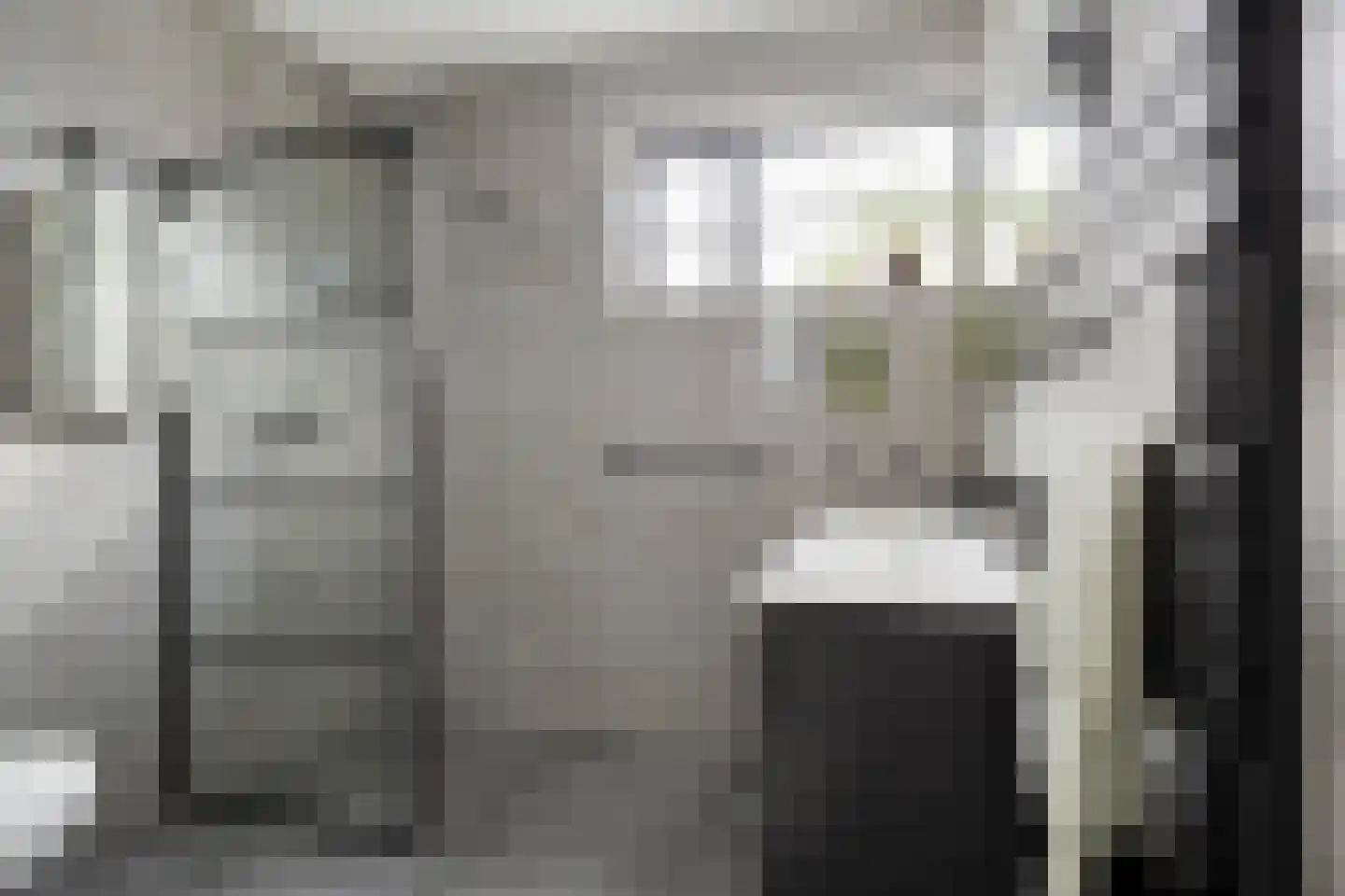 R.A. de Monchystraat 56 Hengelo thumbnail 29