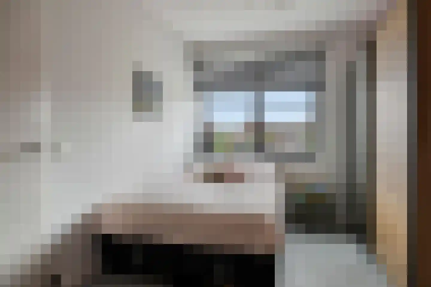 R.A. de Monchystraat 56 Hengelo thumbnail 31