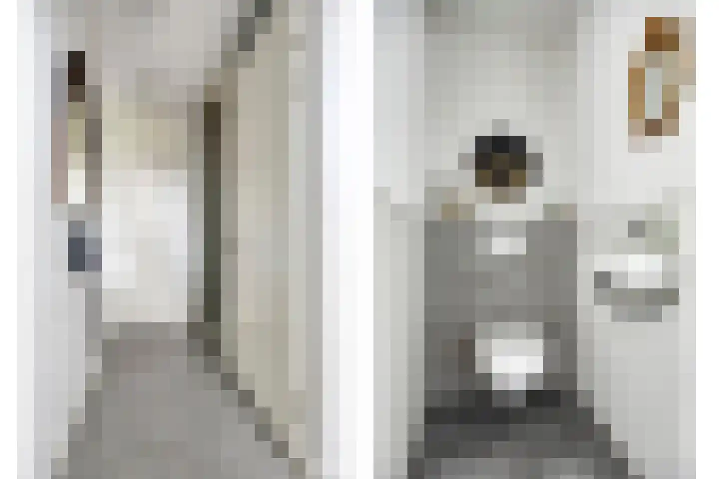 R.A. de Monchystraat 56 Hengelo thumbnail 9