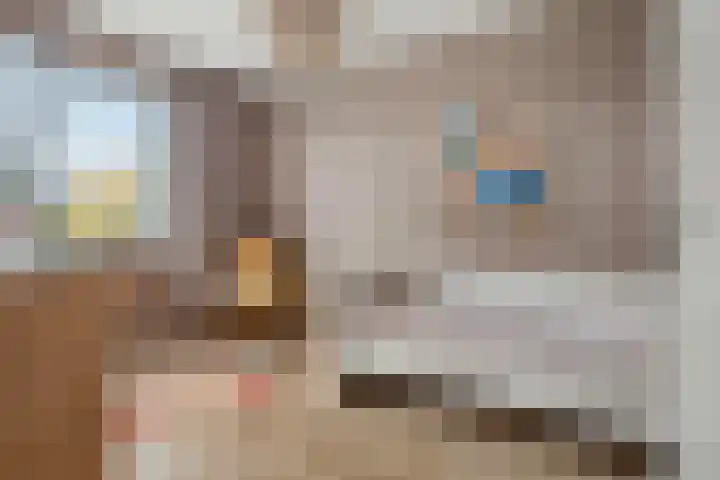 R.A. de Monchystraat 60 Hengelo thumbnail 15