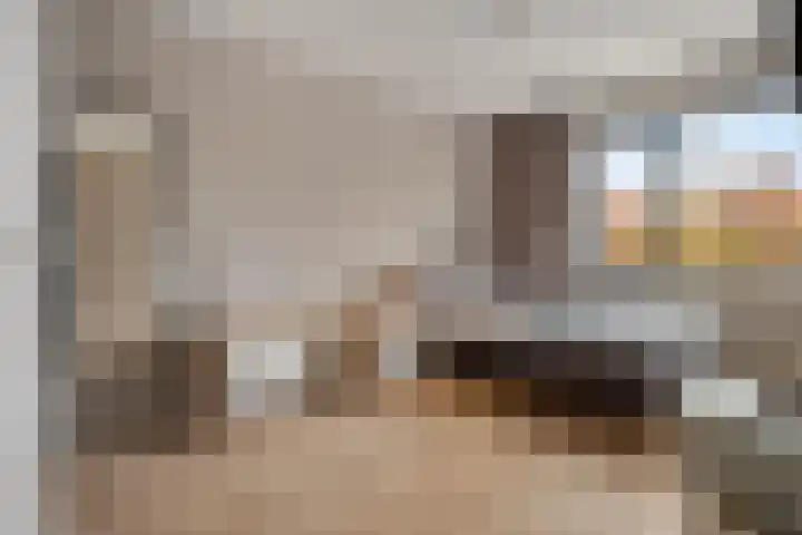 R.A. de Monchystraat 60 Hengelo thumbnail 17