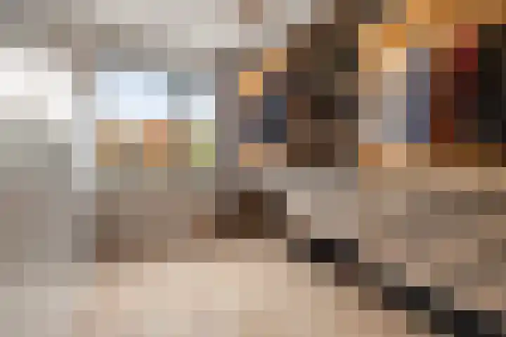 R.A. de Monchystraat 60 Hengelo thumbnail 19