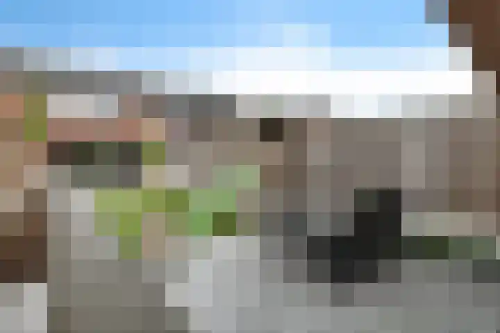 R.A. de Monchystraat 60 Hengelo thumbnail 31