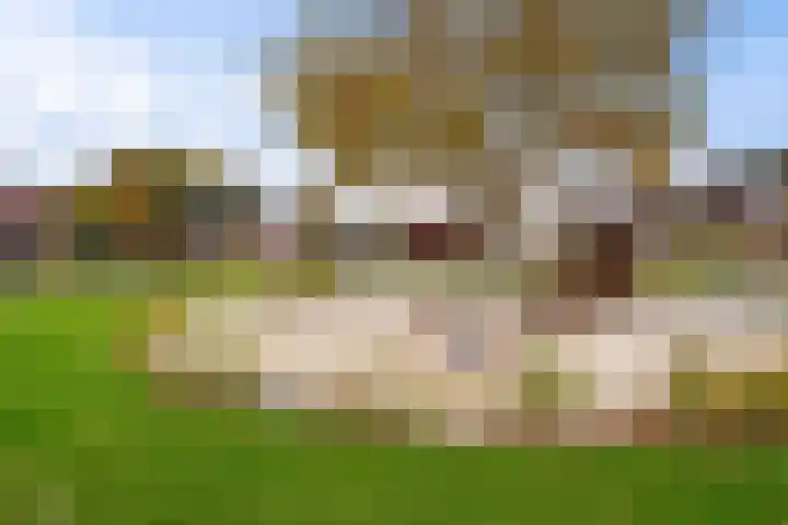 R.A. de Monchystraat 60 Hengelo thumbnail 39