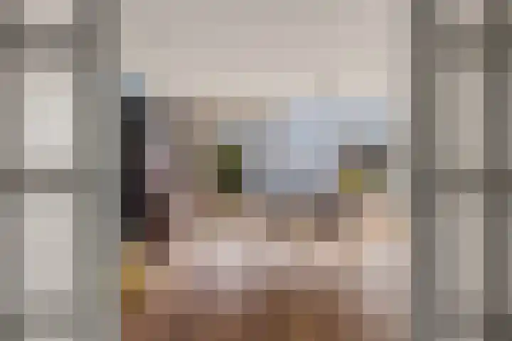 R.A. Kartinistraat 97 Utrecht thumbnail 20
