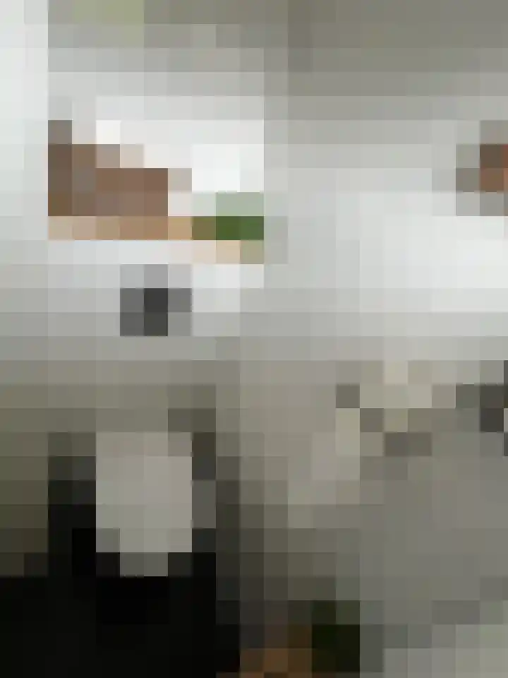 R. Bouwmanstraat 5 Emmen thumbnail 13