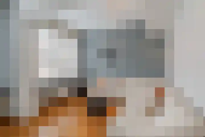R. Castelijnstraat 23 Diemen thumbnail 7