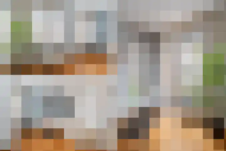 R. Castelijnstraat 23 Diemen thumbnail 8
