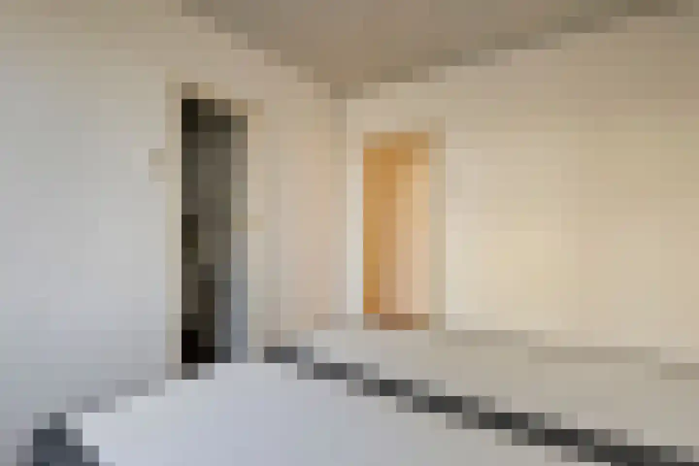 R. Castelijnstraat 26 Diemen thumbnail 15
