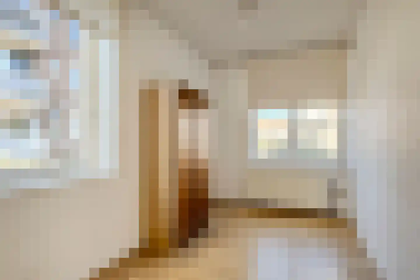 R. Castelijnstraat 26 Diemen thumbnail 16