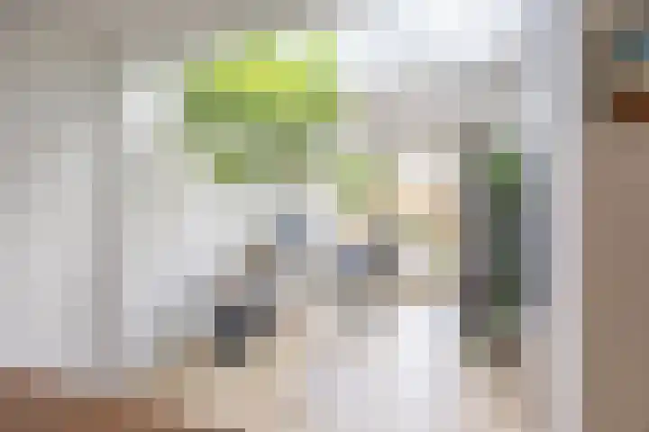 R. Doumastraat 3 Groningen thumbnail 16