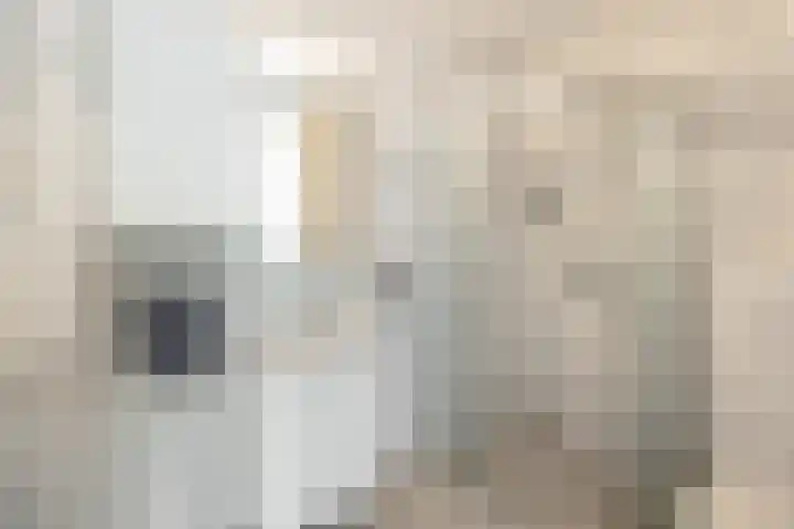 R. Doumastraat 3 Groningen thumbnail 29