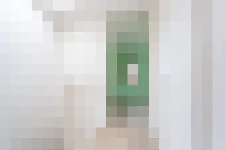 R.H. Fledderusstraat 11 Rotterdam thumbnail 12