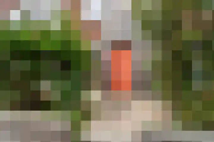 R.H. Fledderusstraat 11 Rotterdam thumbnail 22
