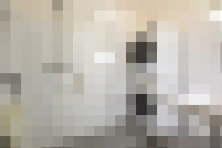R.J. Nieuwoldstraat 21 Veendam thumbnail 18
