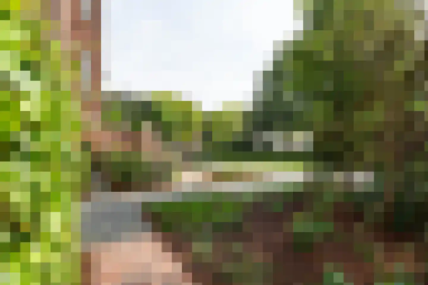 R. J. Schimmelpennincklaan 19 Den Haag thumbnail 13