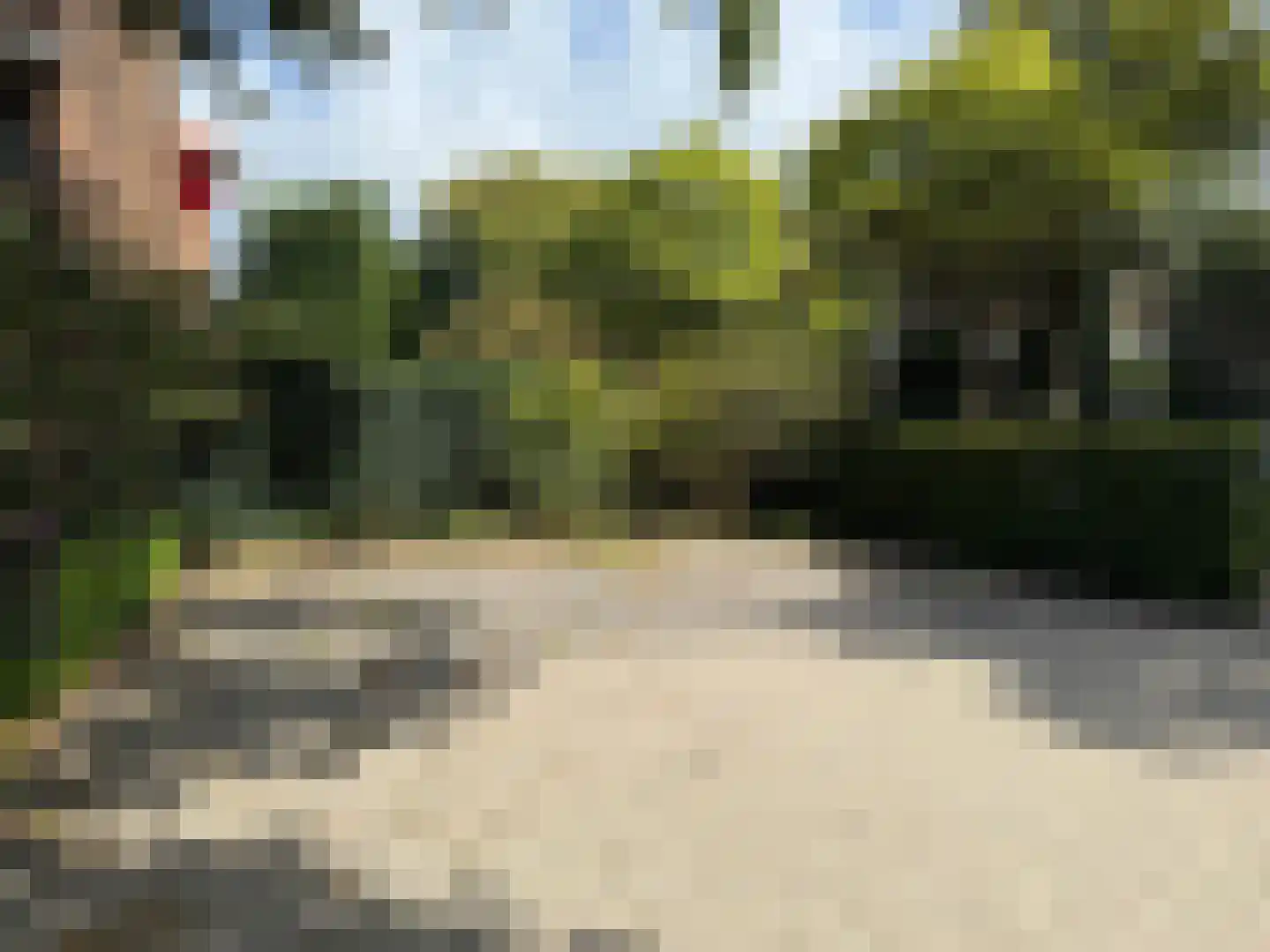 R. J. Schimmelpennincklaan 19 Den Haag thumbnail 14