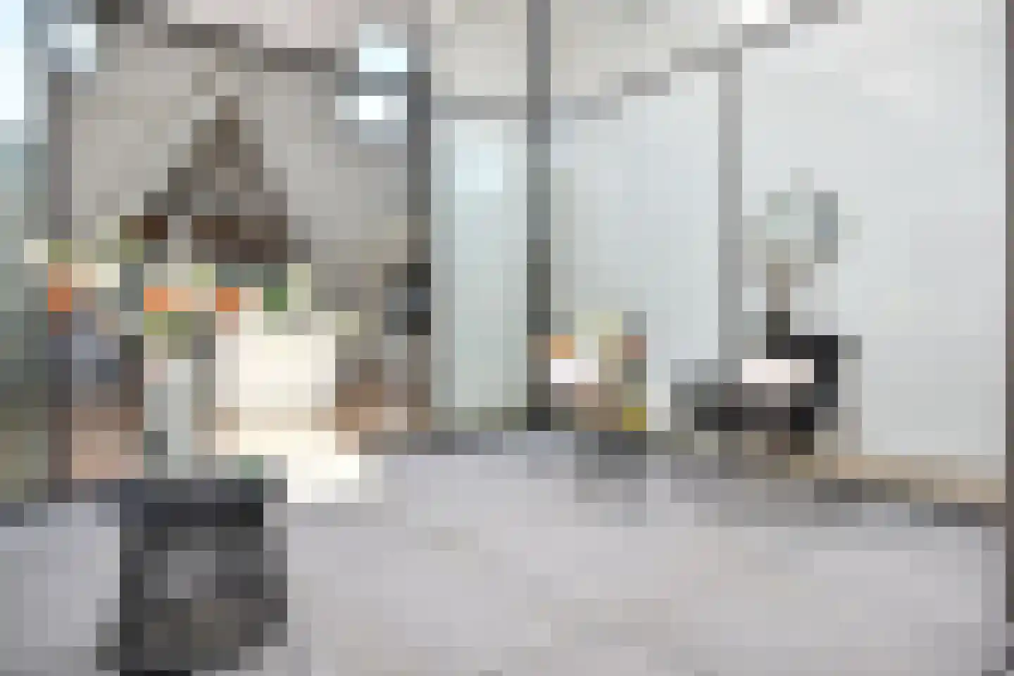 R. J. Schimmelpennincklaan 19 Den Haag thumbnail 26